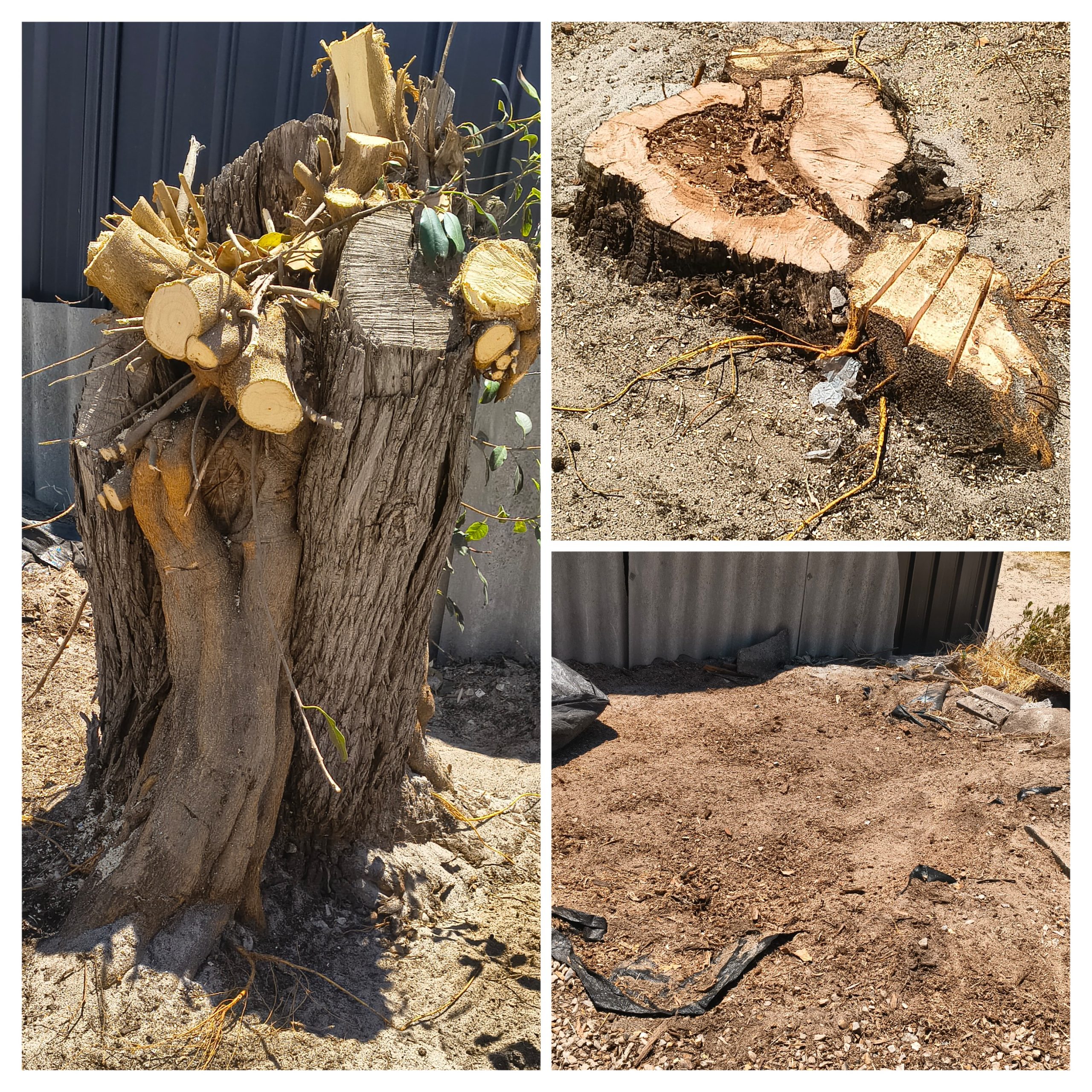 20260204_112927-COLLAGE