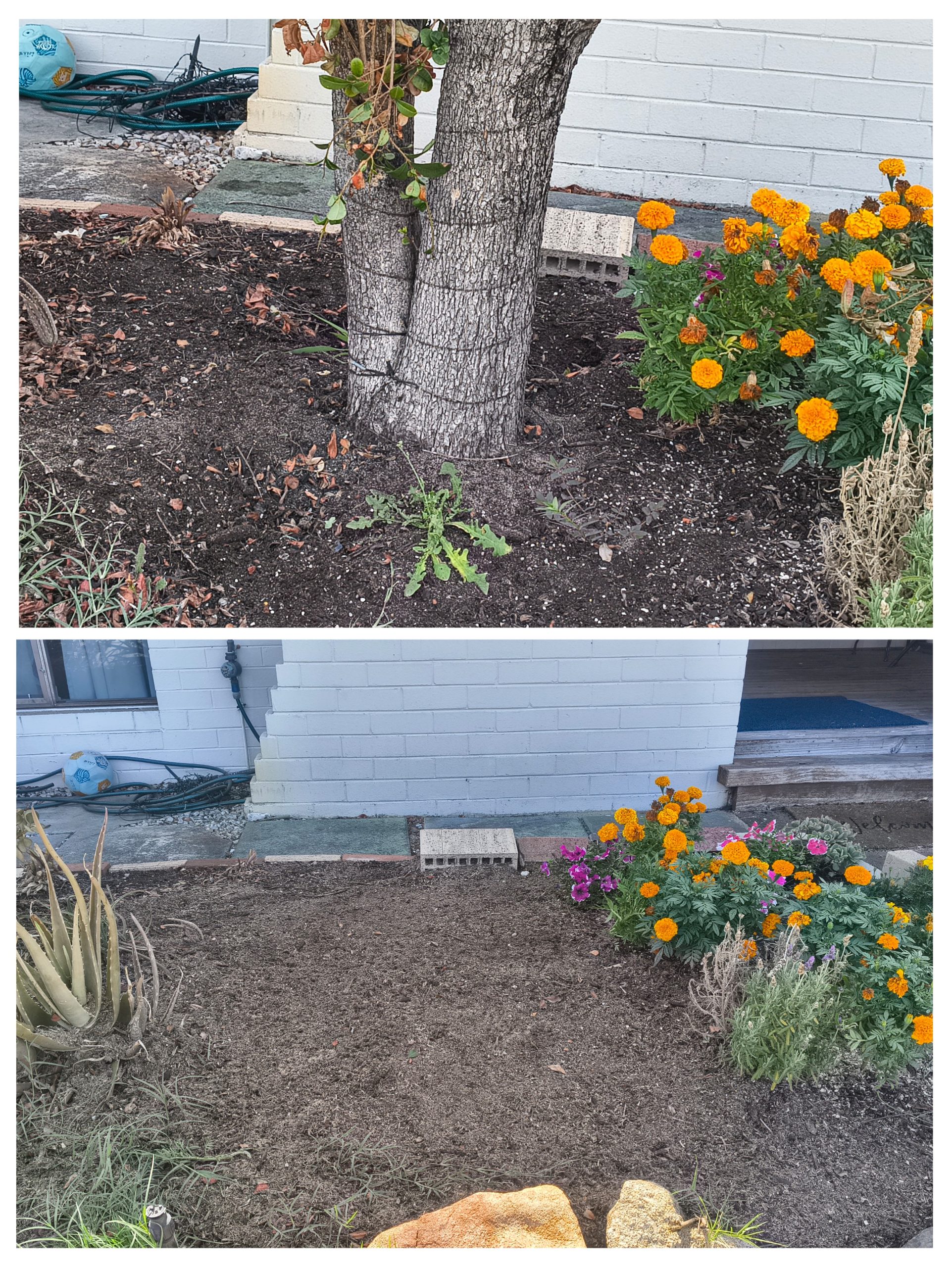 20260211_105413-COLLAGE