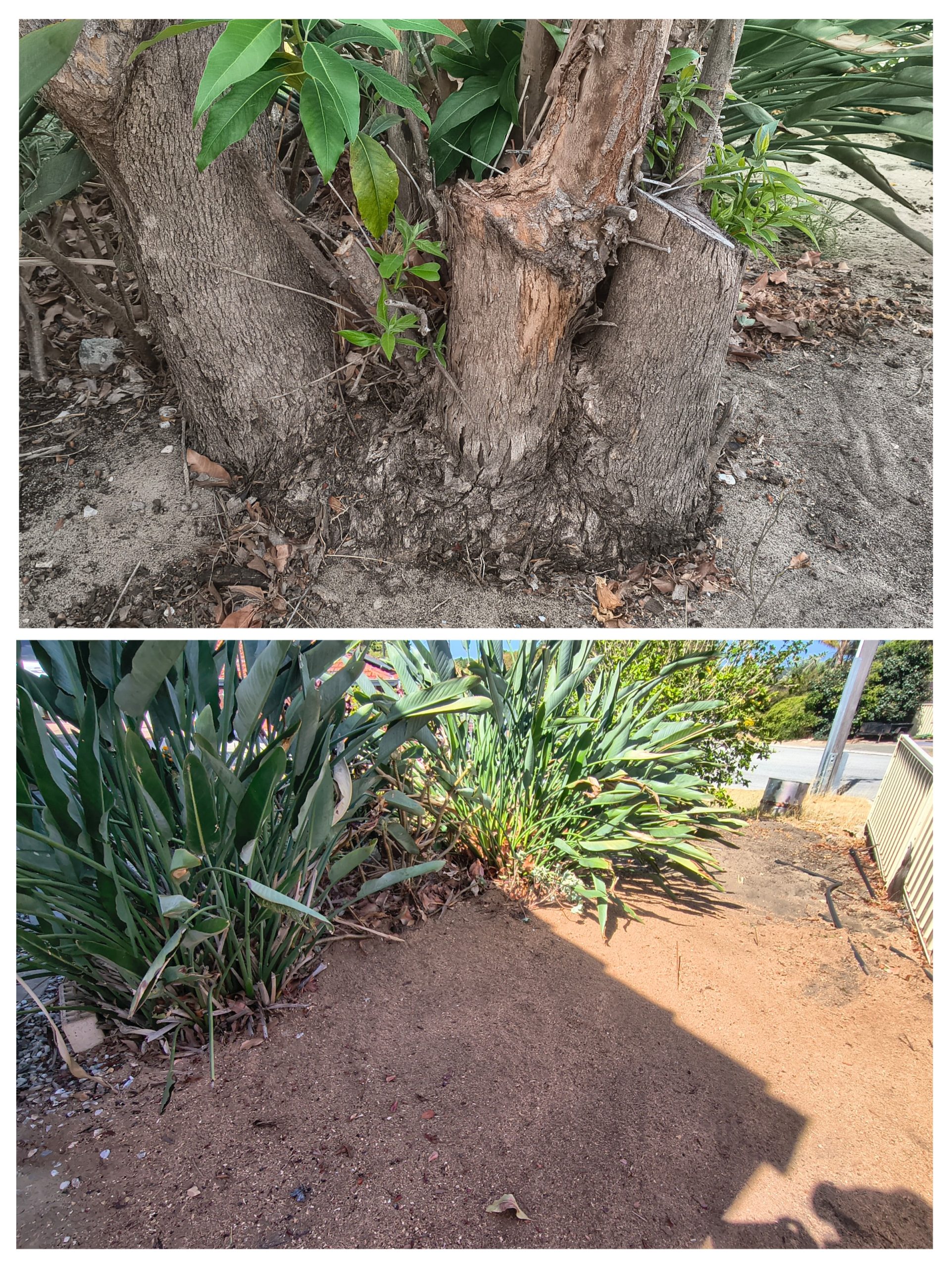 20260211_130836-COLLAGE