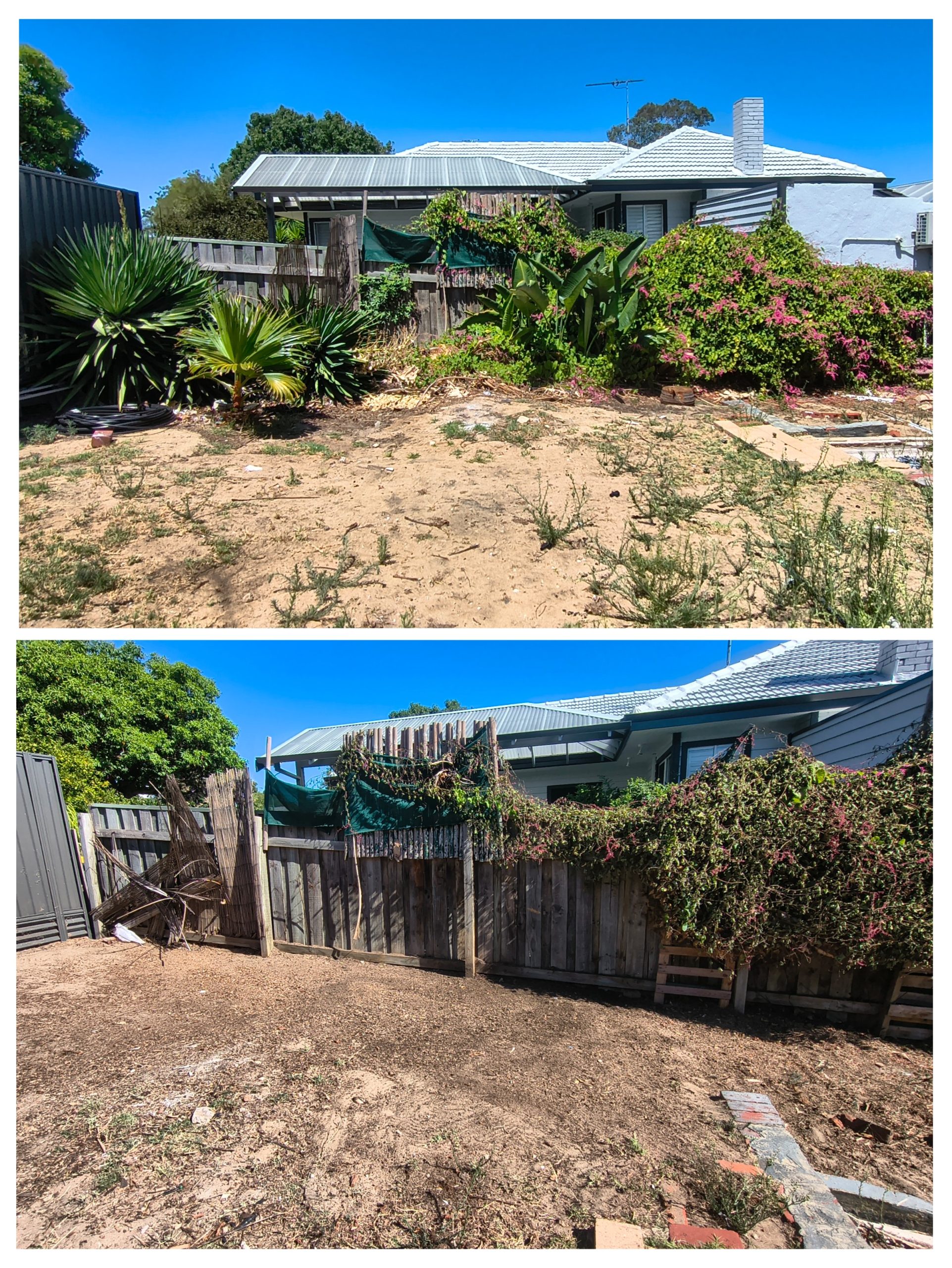 20260213_182423-COLLAGE