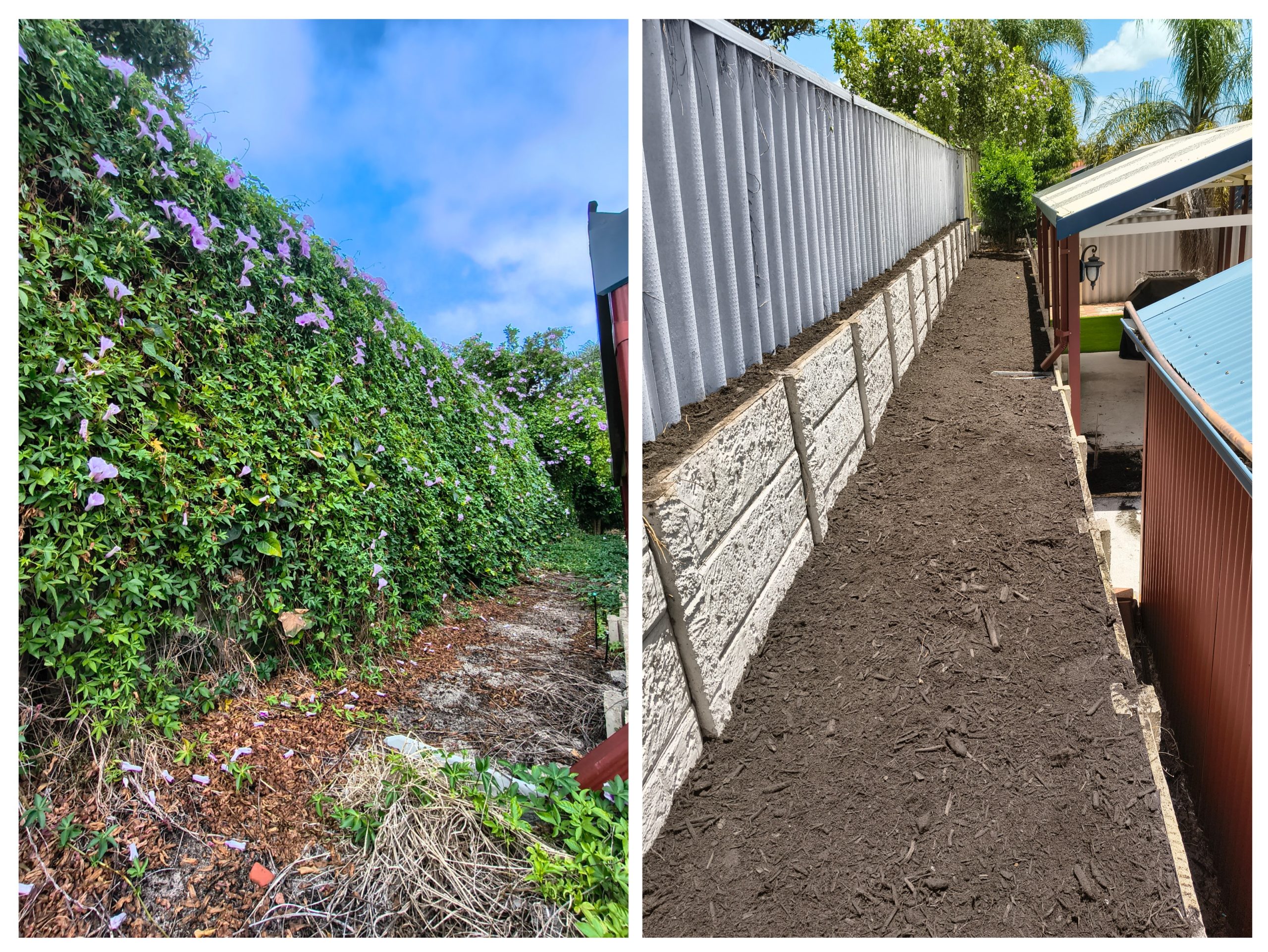 20260220_102805-COLLAGE