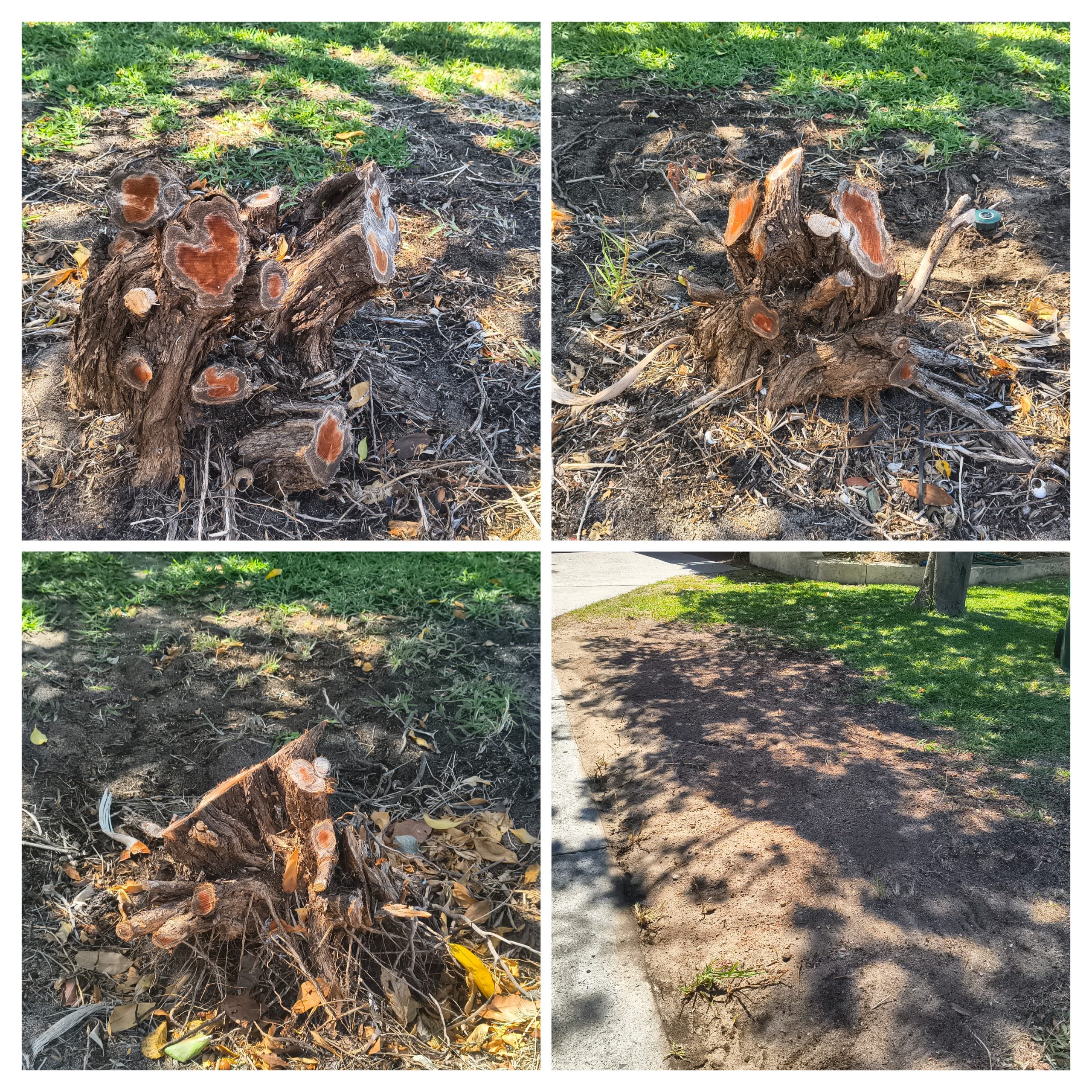 20260220_150539-COLLAGE