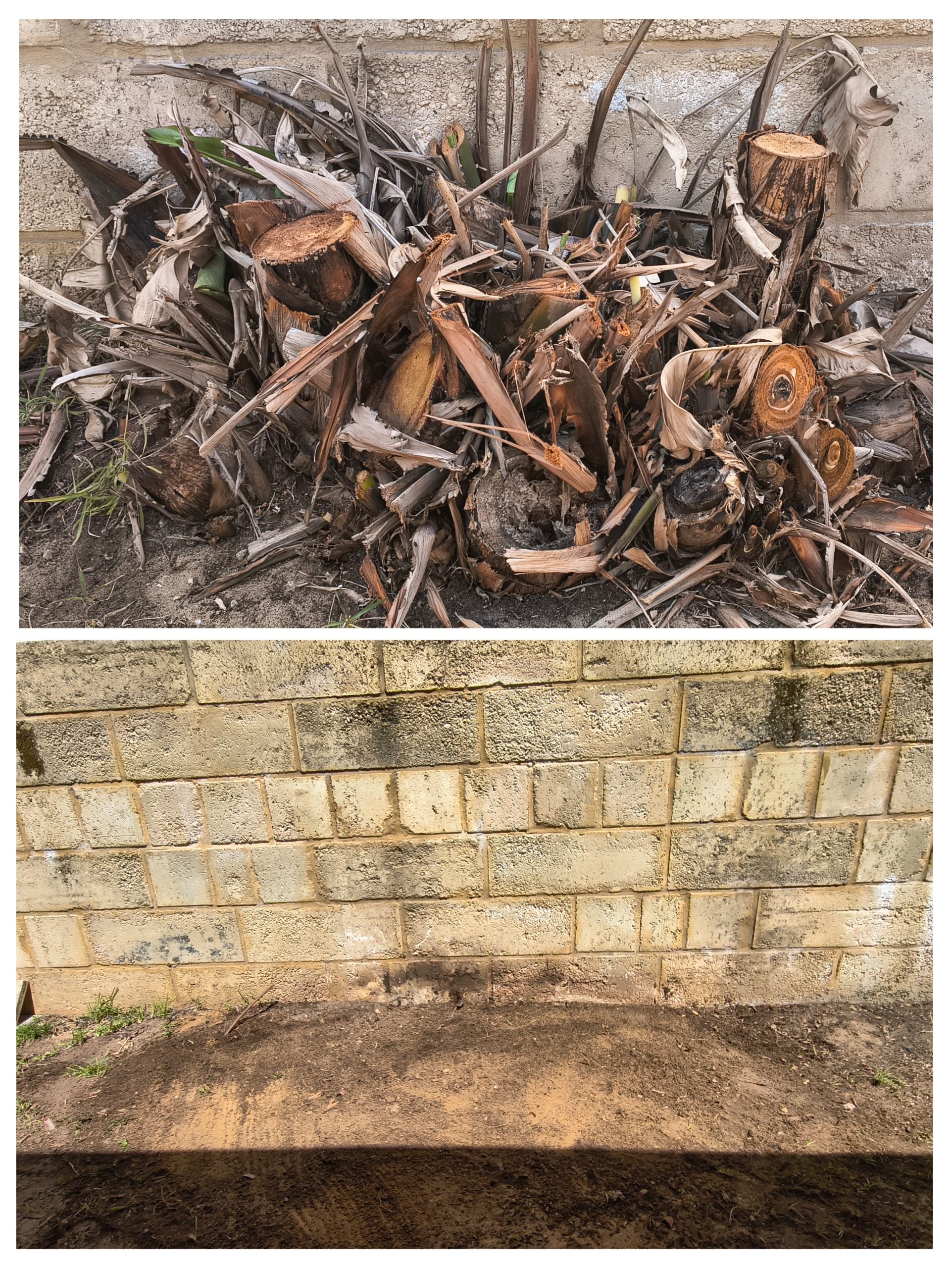 20260220_151638-COLLAGE