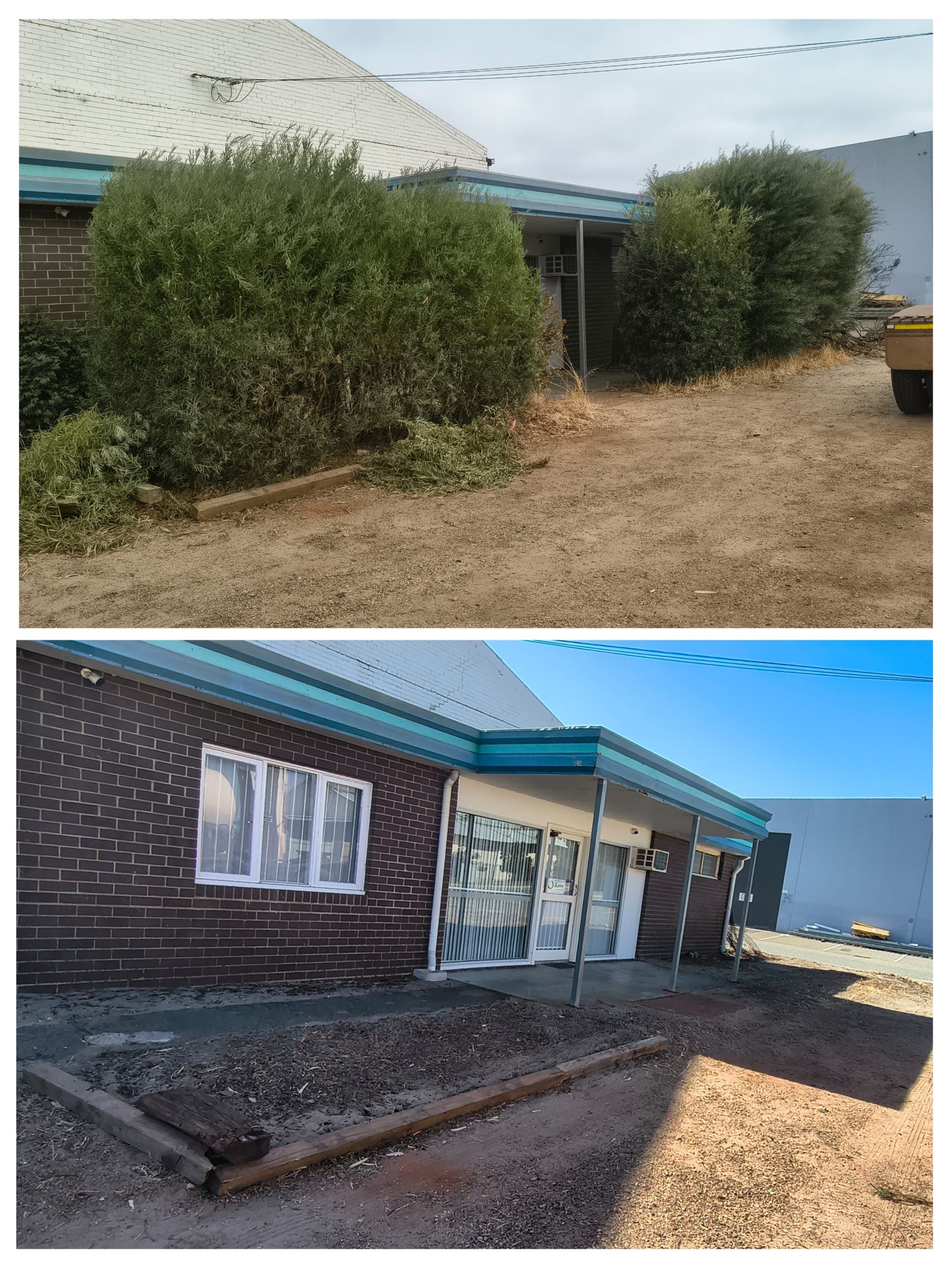 20260221_160620-COLLAGE